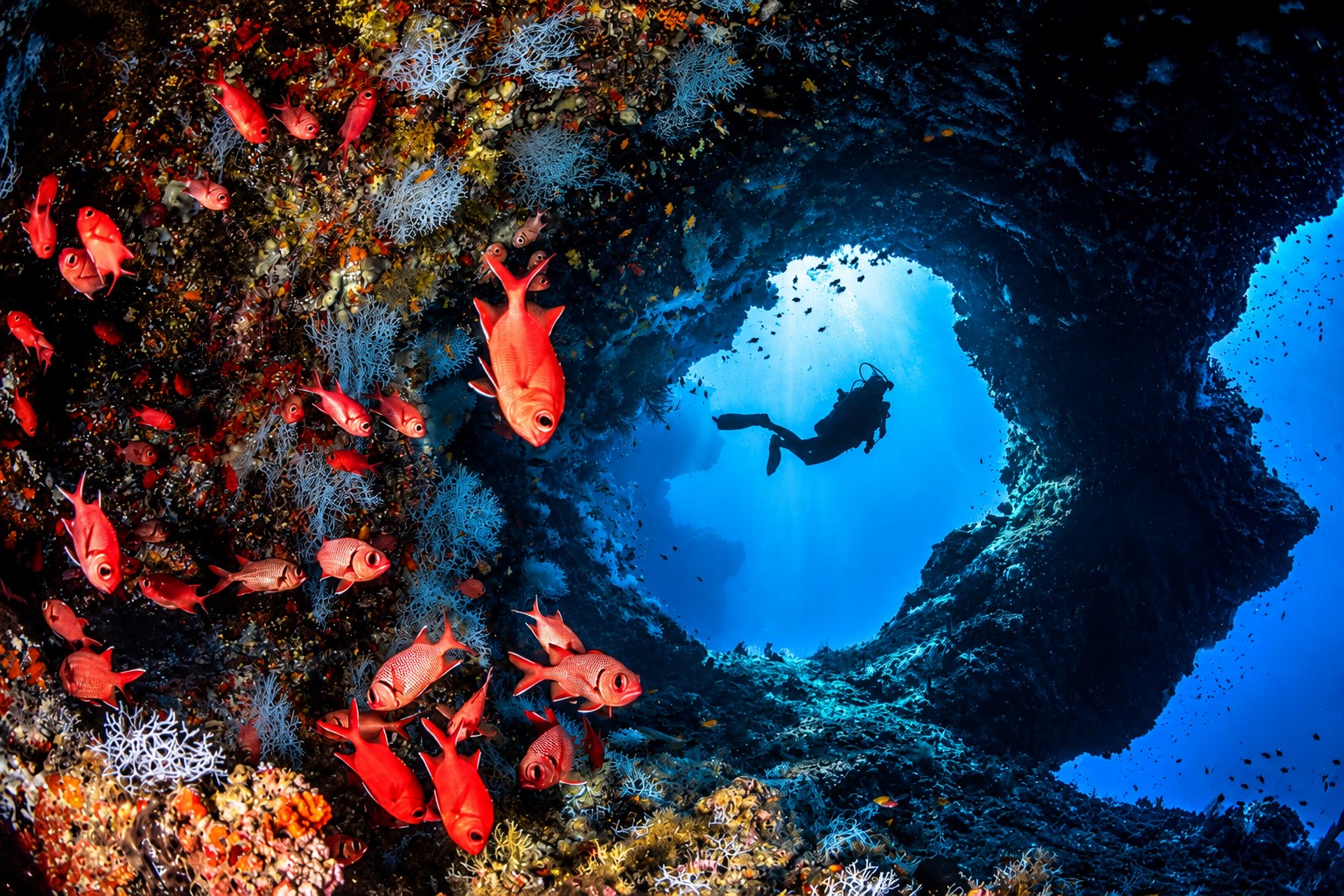 From Tragedy to Opportunity: Building a Cave Diving Industry